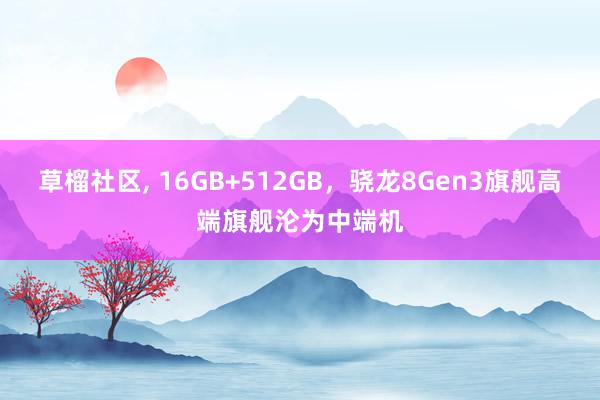 草榴社区， 16GB+512GB，骁龙8Gen3旗舰高端旗舰沦为中端机