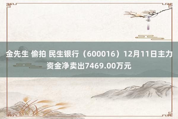 金先生 偷拍 民生银行（600016）12月11日主力资金净卖出7469.00万元