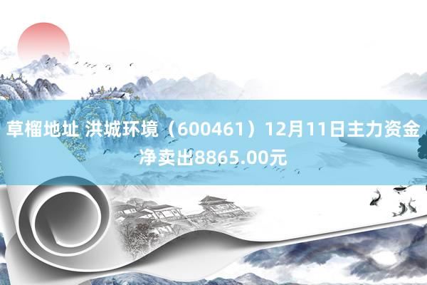 草榴地址 洪城环境（600461）12月11日主力资金净卖出8865.00元
