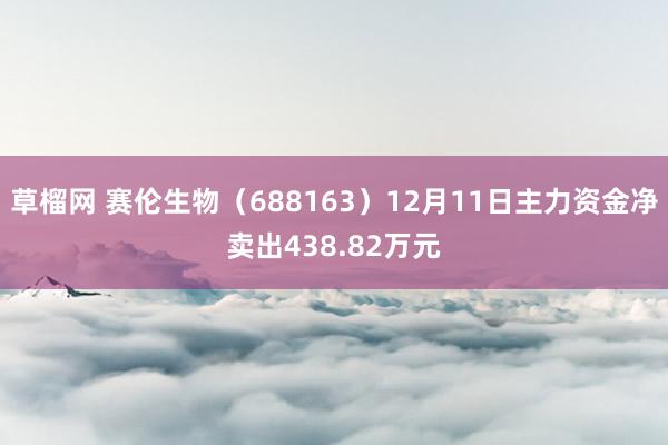 草榴网 赛伦生物（688163）12月11日主力资金净卖出438.82万元