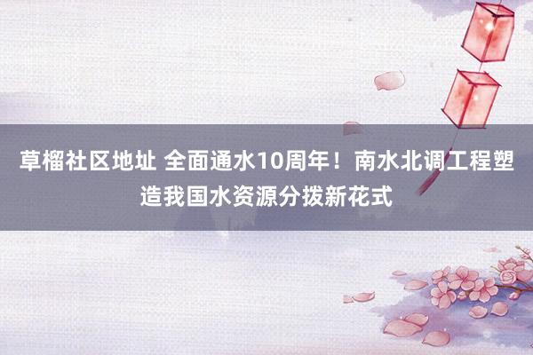 草榴社区地址 全面通水10周年！南水北调工程塑造我国水资源分拨新花式