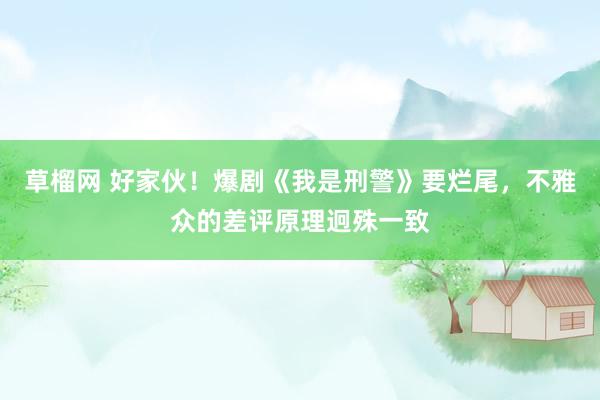 草榴网 好家伙！爆剧《我是刑警》要烂尾，不雅众的差评原理迥殊一致