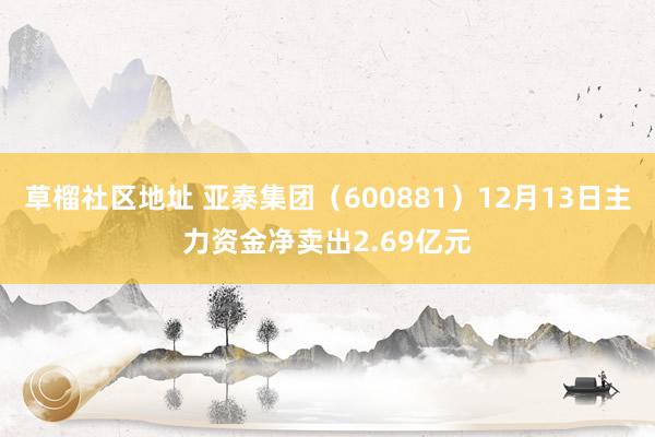 草榴社区地址 亚泰集团（600881）12月13日主力资金净卖出2.69亿元