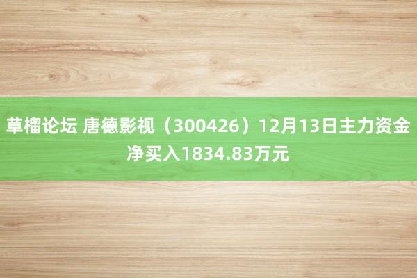 草榴论坛 唐德影视（300426）12月13日主力资金净买入1834.83万元