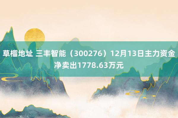 草榴地址 三丰智能（300276）12月13日主力资金净卖出1778.63万元