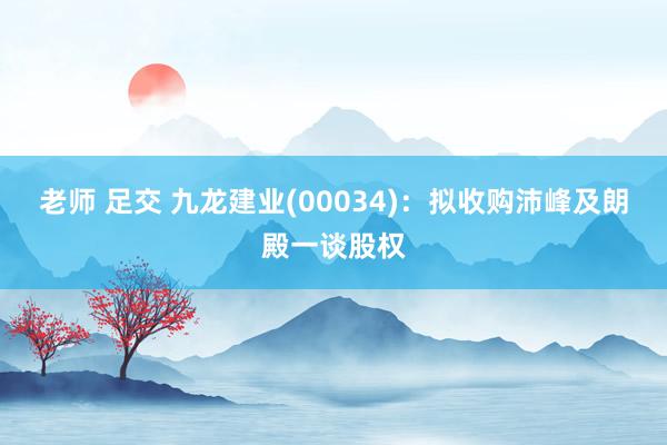老师 足交 九龙建业(00034)：拟收购沛峰及朗殿一谈股权
