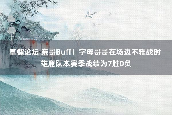 草榴论坛 亲哥Buff！字母哥哥在场边不雅战时 雄鹿队本赛季战绩为7胜0负