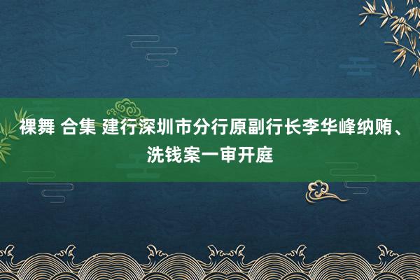 裸舞 合集 建行深圳市分行原副行长李华峰纳贿、洗钱案一审开庭
