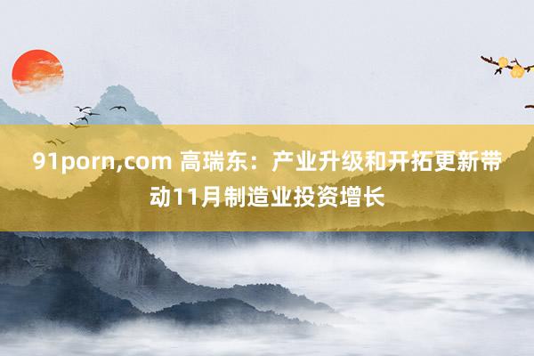 91porn，com 高瑞东：产业升级和开拓更新带动11月制造业投资增长