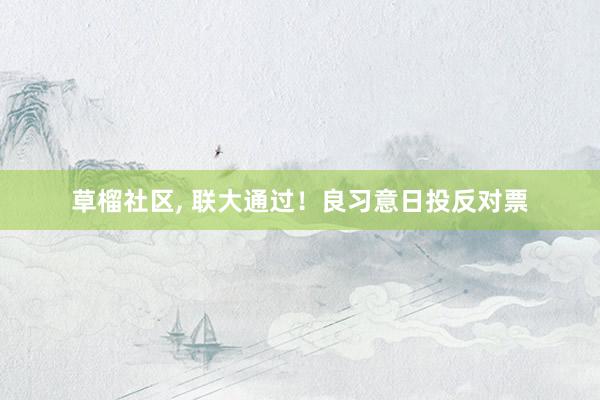 草榴社区， 联大通过！良习意日投反对票