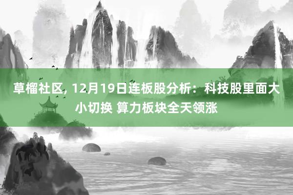 草榴社区， 12月19日连板股分析：科技股里面大小切换 算力板块全天领涨
