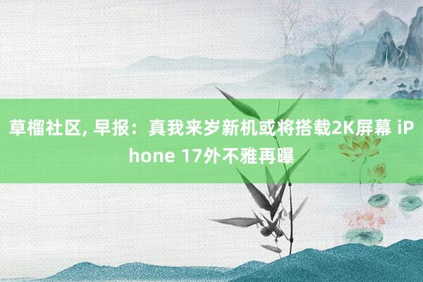 草榴社区， 早报：真我来岁新机或将搭载2K屏幕 iPhone 17外不雅再曝