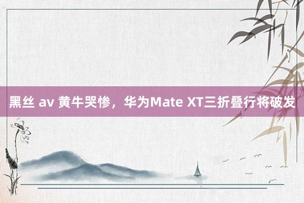 黑丝 av 黄牛哭惨，华为Mate XT三折叠行将破发