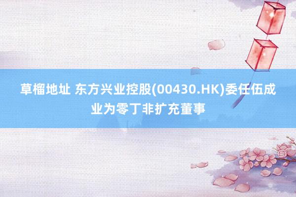 草榴地址 东方兴业控股(00430.HK)委任伍成业为零丁非扩充董事
