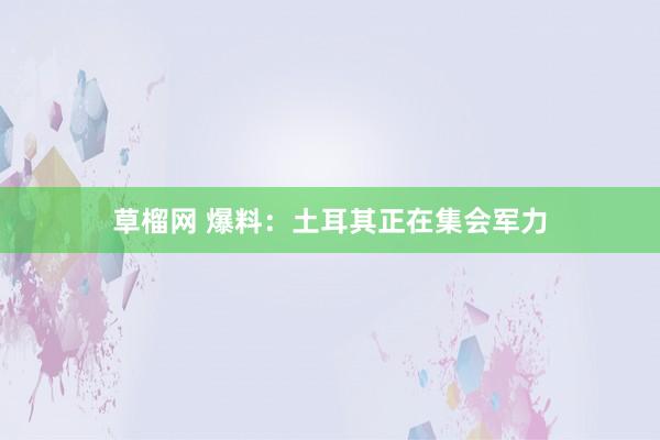 草榴网 爆料：土耳其正在集会军力