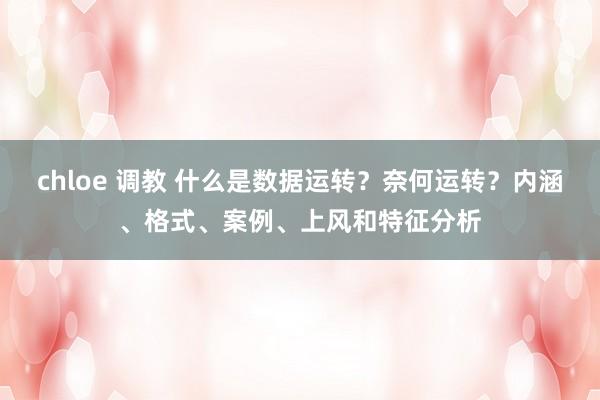 chloe 调教 什么是数据运转？奈何运转？内涵、格式、案例、上风和特征分析