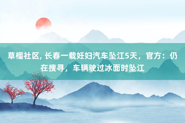 草榴社区， 长春一载妊妇汽车坠江5天，官方：仍在搜寻，车辆驶过冰面时坠江
