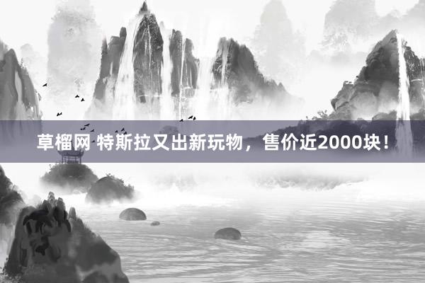 草榴网 特斯拉又出新玩物，售价近2000块！