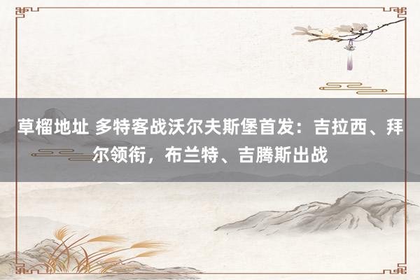 草榴地址 多特客战沃尔夫斯堡首发：吉拉西、拜尔领衔，布兰特、吉腾斯出战