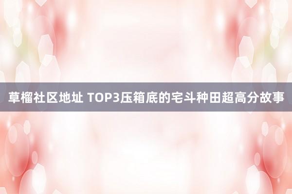 草榴社区地址 TOP3压箱底的宅斗种田超高分故事