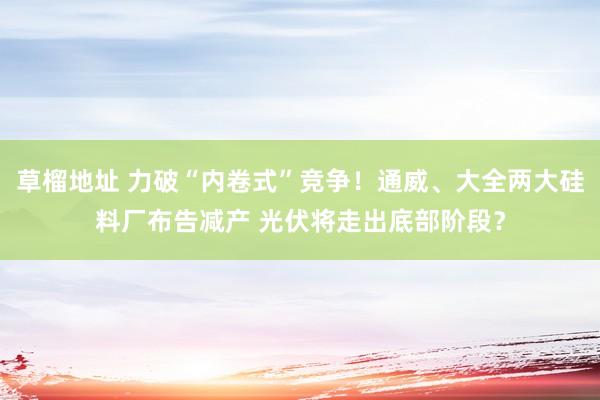 草榴地址 力破“内卷式”竞争！通威、大全两大硅料厂布告减产 光伏将走出底部阶段？