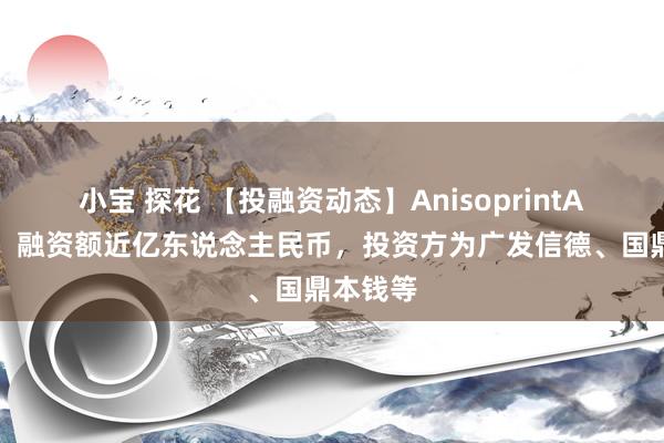 小宝 探花 【投融资动态】AnisoprintA轮融资，融资额近亿东说念主民币，投资方为广发信德、国鼎本钱等