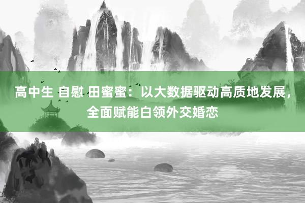 高中生 自慰 田蜜蜜：以大数据驱动高质地发展，全面赋能白领外交婚恋