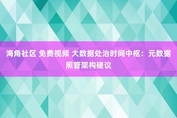 海角社区 免费视频 大数据处治时间中枢：元数据照管架构磋议