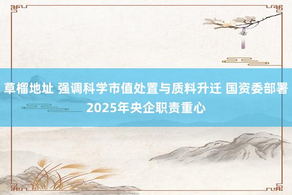草榴地址 强调科学市值处置与质料升迁 国资委部署2025年央企职责重心