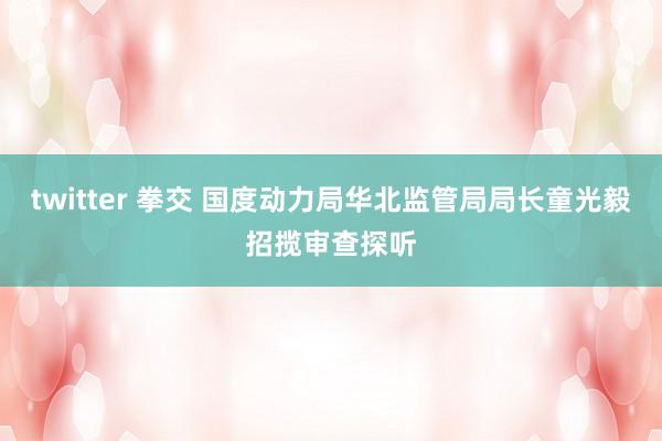 twitter 拳交 国度动力局华北监管局局长童光毅招揽审查探听