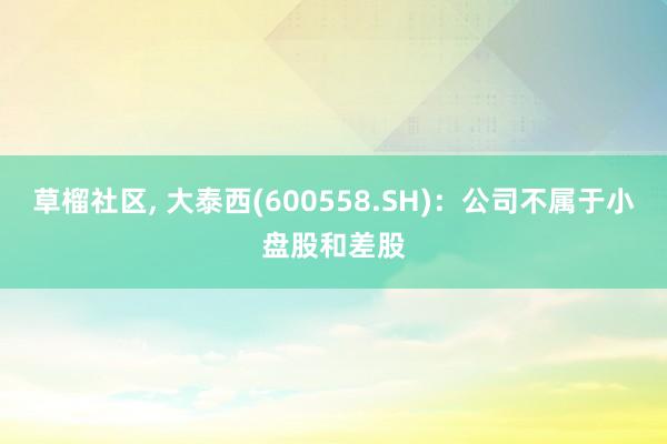 草榴社区， 大泰西(600558.SH)：公司不属于小盘股和差股