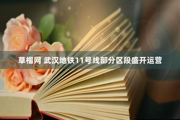 草榴网 武汉地铁11号线部分区段盛开运营