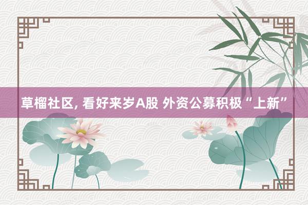 草榴社区， 看好来岁A股 外资公募积极“上新”