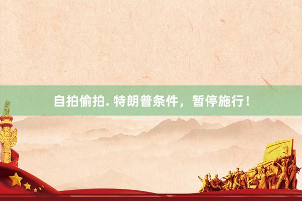 自拍偷拍. 特朗普条件，暂停施行！