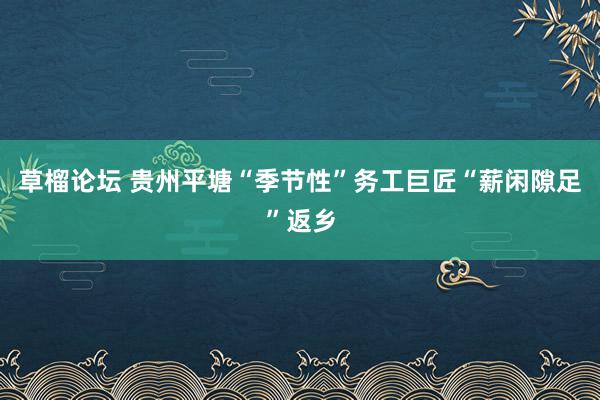 草榴论坛 贵州平塘“季节性”务工巨匠“薪闲隙足”返乡