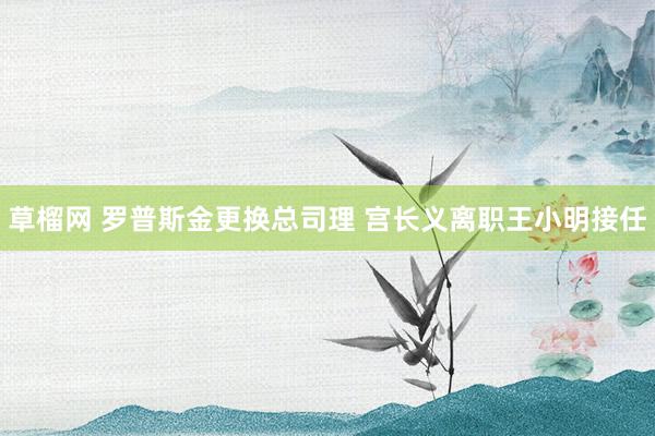 草榴网 罗普斯金更换总司理 宫长义离职王小明接任
