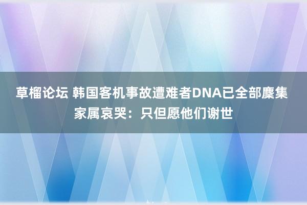 草榴论坛 韩国客机事故遭难者DNA已全部麇集 家属哀哭：只但愿他们谢世
