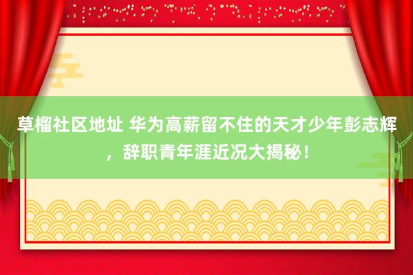 草榴社区地址 华为高薪留不住的天才少年彭志辉，辞职青年涯近况大揭秘！