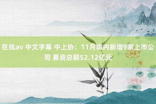 在线av 中文字幕 中上协：11月境内新增9家上市公司 募资总额52.12亿元
