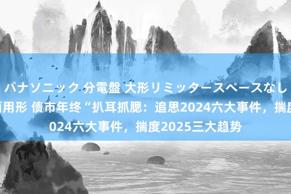 パナソニック 分電盤 大形リミッタースペースなし 露出・半埋込両用形 债市年终“扒耳抓腮：追思2024六大事件，揣度2025三大趋势