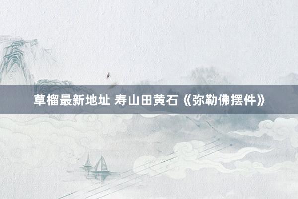 草榴最新地址 寿山田黄石《弥勒佛摆件》