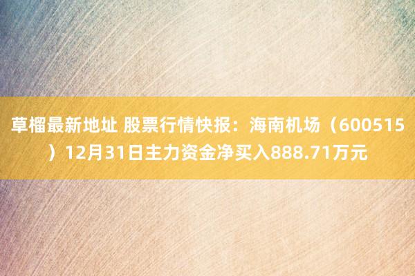草榴最新地址 股票行情快报：海南机场（600515）12月31日主力资金净买入888.71万元