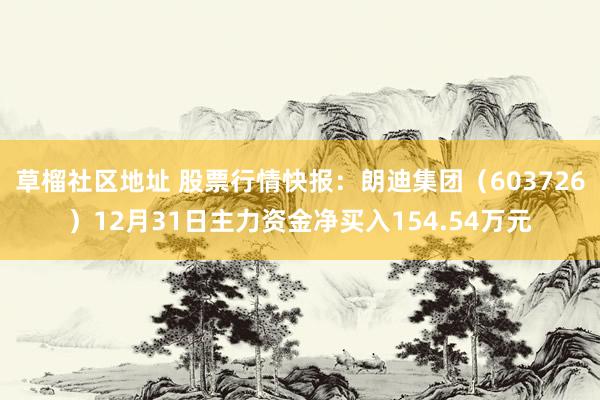 草榴社区地址 股票行情快报：朗迪集团（603726）12月31日主力资金净买入154.54万元