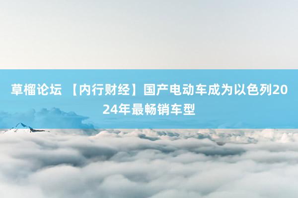 草榴论坛 【内行财经】国产电动车成为以色列2024年最畅销车型