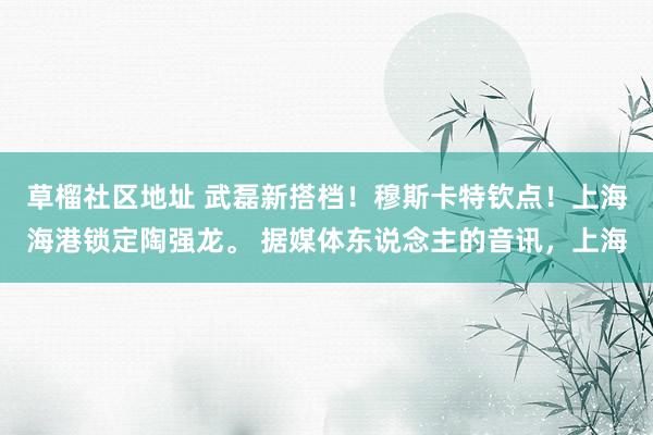 草榴社区地址 武磊新搭档！穆斯卡特钦点！上海海港锁定陶强龙。 据媒体东说念主的音讯，上海