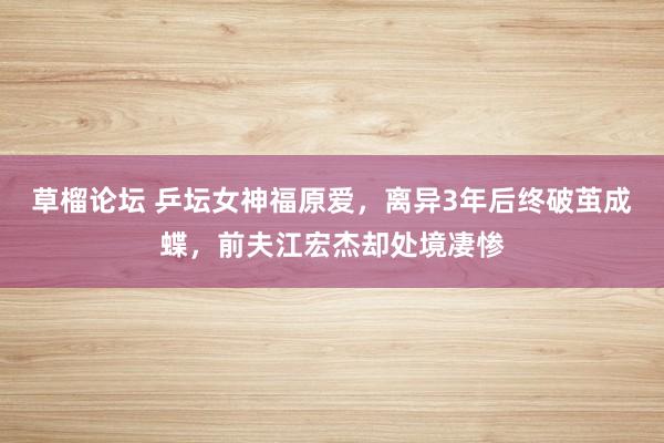 草榴论坛 乒坛女神福原爱，离异3年后终破茧成蝶，前夫江宏杰却处境凄惨
