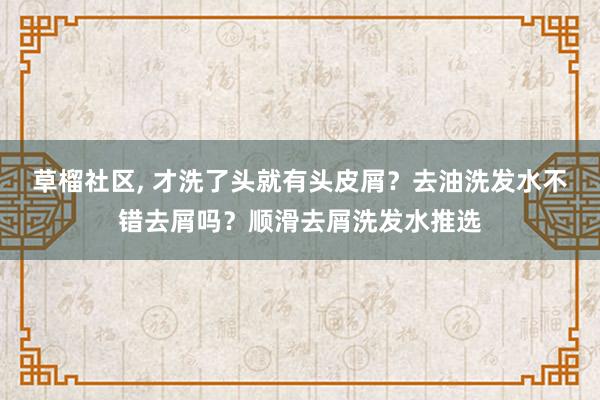 草榴社区， 才洗了头就有头皮屑？去油洗发水不错去屑吗？顺滑去屑洗发水推选