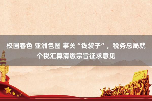 校园春色 亚洲色图 事关“钱袋子”，税务总局就个税汇算清缴宗旨征求意见
