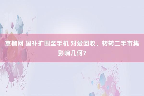 草榴网 国补扩围至手机 对爱回收、转转二手市集影响几何？