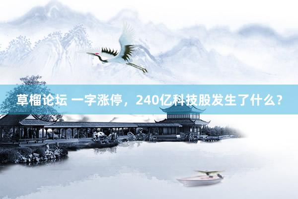 草榴论坛 一字涨停，240亿科技股发生了什么？